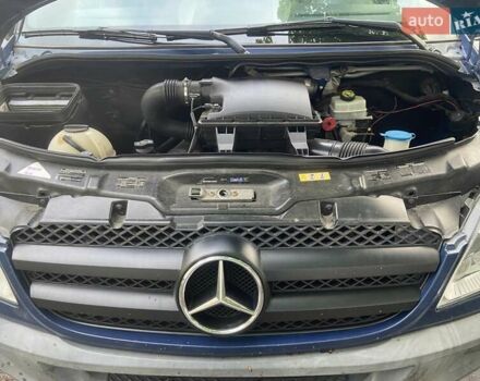 Синий Мерседес Sprinter, объемом двигателя 3 л и пробегом 213 тыс. км за 29000 $, фото 15 на Automoto.ua