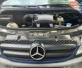 Синий Мерседес Sprinter, объемом двигателя 3 л и пробегом 213 тыс. км за 29000 $, фото 15 на Automoto.ua