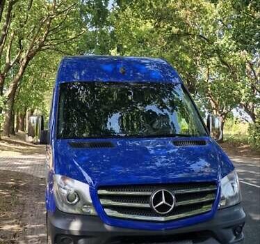 Синий Мерседес Sprinter, объемом двигателя 3 л и пробегом 293 тыс. км за 31800 $, фото 37 на Automoto.ua