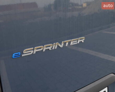 Синий Мерседес Sprinter, объемом двигателя 0 л и пробегом 17 тыс. км за 21805 $, фото 39 на Automoto.ua