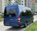 Синій Мерседес Sprinter, об'ємом двигуна 3 л та пробігом 410 тис. км за 37499 $, фото 36 на Automoto.ua