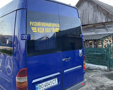 Синій Мерседес Sprinter, об'ємом двигуна 2.87 л та пробігом 5 тис. км за 8500 $, фото 2 на Automoto.ua