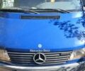 Синій Мерседес Sprinter, об'ємом двигуна 0 л та пробігом 345 тис. км за 6900 $, фото 1 на Automoto.ua