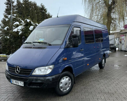 Синій Мерседес Sprinter, об'ємом двигуна 0 л та пробігом 2 тис. км за 12500 $, фото 19 на Automoto.ua