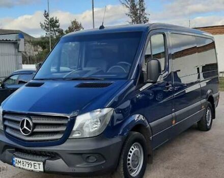 Синий Мерседес Sprinter, объемом двигателя 0 л и пробегом 304 тыс. км за 23500 $, фото 8 на Automoto.ua
