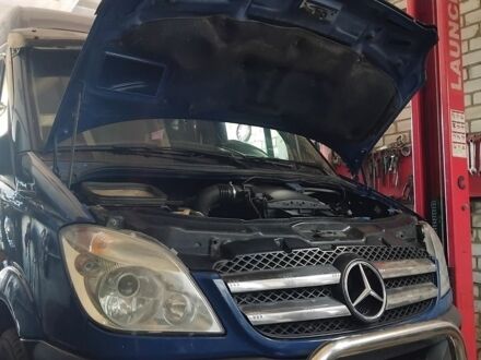 Синій Мерседес Sprinter, об'ємом двигуна 2.99 л та пробігом 261 тис. км за 29000 $, фото 1 на Automoto.ua