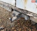 Білий Мерседес T1, об'ємом двигуна 2.9 л та пробігом 350 тис. км за 1800 $, фото 7 на Automoto.ua