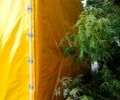 Белый Мерседес T2, объемом двигателя 4 л и пробегом 340 тыс. км за 7000 $, фото 2 на Automoto.ua