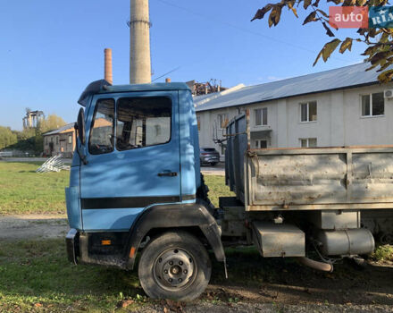 Мерседес T2 1995 в Буске на Automoto.ua Синий Мерседес T2, объемом двигателя 3.97 л и пробегом 62 тыс. км за 10000 $, фото 5 на Automoto.ua