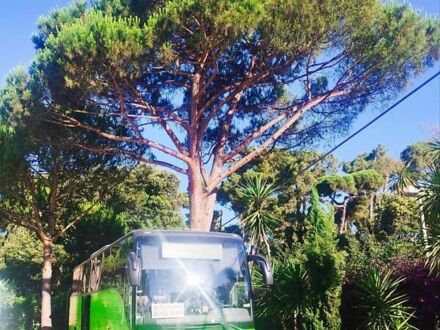 Зеленый Мерседес Туризмо, объемом двигателя 11.97 л и пробегом 1000 тыс. км за 122000 $, фото 1 на Automoto.ua