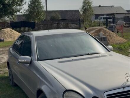 Серый Мерседес В-Класс, объемом двигателя 2.7 л и пробегом 300 тыс. км за 2900 $, фото 1 на Automoto.ua