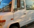 Белый Мерседес Варио, объемом двигателя 2.9 л и пробегом 6 тыс. км за 8200 $, фото 1 на Automoto.ua