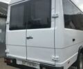 Белый Мерседес Варио, объемом двигателя 2.9 л и пробегом 180 тыс. км за 15000 $, фото 2 на Automoto.ua