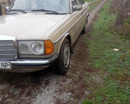 Бежевый Мерседес Варио, объемом двигателя 0 л и пробегом 300 тыс. км за 2000 $, фото 1 на Automoto.ua