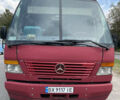 Красный Мерседес Варио, объемом двигателя 4.2 л и пробегом 467 тыс. км за 17500 $, фото 5 на Automoto.ua