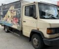 Мерседес Варио, объемом двигателя 0 л и пробегом 500 тыс. км за 4950 $, фото 1 на Automoto.ua