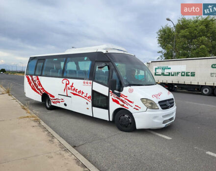 Мерседес Варио, объемом двигателя 4.2 л и пробегом 525 тыс. км за 33394 $, фото 3 на Automoto.ua