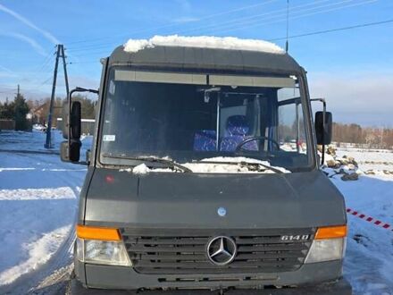 Мерседес Варио, объемом двигателя 4.2 л и пробегом 140 тыс. км за 30800 $, фото 1 на Automoto.ua