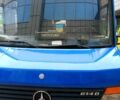 Синий Мерседес Варио, объемом двигателя 4.3 л и пробегом 400 тыс. км за 12000 $, фото 1 на Automoto.ua