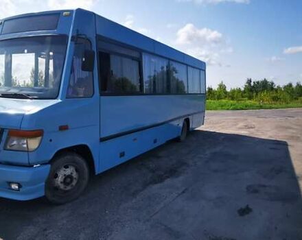 Синий Мерседес Варио, объемом двигателя 0 л и пробегом 700 тыс. км за 11700 $, фото 2 на Automoto.ua