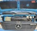 Синий Мерседес Варио, объемом двигателя 4.3 л и пробегом 211 тыс. км за 20500 $, фото 6 на Automoto.ua
