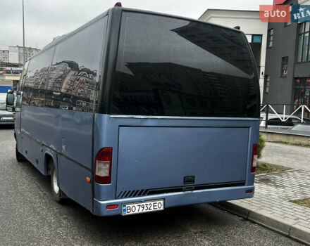 Синий Мерседес Варио, объемом двигателя 4.25 л и пробегом 700 тыс. км за 17500 $, фото 2 на Automoto.ua