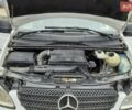 Білий Мерседес Віто, об'ємом двигуна 2.2 л та пробігом 280 тис. км за 7100 $, фото 27 на Automoto.ua