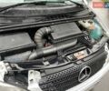 Белый Мерседес Вито, объемом двигателя 2.2 л и пробегом 336 тыс. км за 8999 $, фото 59 на Automoto.ua