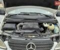 Мерседес Вито 2007 в Тячеве на Automoto.ua Белый Мерседес Вито, объемом двигателя 2.2 л и пробегом 280 тыс. км за 8000 $, фото 11 на Automoto.ua