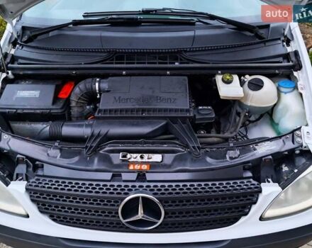 Мерседес Вито 2008 в Хмельницком на Automoto.ua Белый Мерседес Вито, объемом двигателя 2.2 л и пробегом 311 тыс. км за 5999 $, фото 15 на Automoto.ua