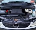 Мерседес Вито 2008 в Хмельницком на Automoto.ua Белый Мерседес Вито, объемом двигателя 2.2 л и пробегом 311 тыс. км за 5999 $, фото 15 на Automoto.ua