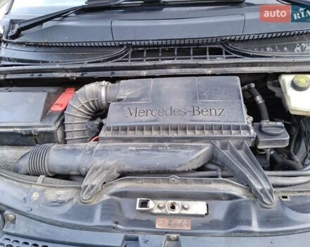 Мерседес Вито 2009 в Киеве на Automoto.ua Белый Мерседес Вито, объемом двигателя 2.15 л и пробегом 317 тыс. км за 8999 $, фото 47 на Automoto.ua