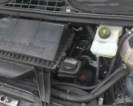 Мерседес Вито 2010 в Прилуках на Automoto.ua Белый Мерседес Вито, объемом двигателя 2.15 л и пробегом 249 тыс. км за 10500 $, фото 3 на Automoto.ua