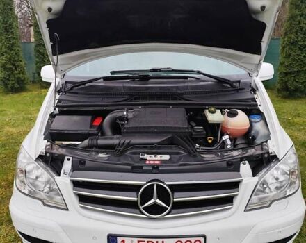 Белый Мерседес Вито, объемом двигателя 2.2 л и пробегом 245 тыс. км за 14999 $, фото 1 на Automoto.ua
