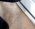 Белый Мерседес Вито, объемом двигателя 2.1 л и пробегом 305 тыс. км за 13500 $, фото 8 на Automoto.ua