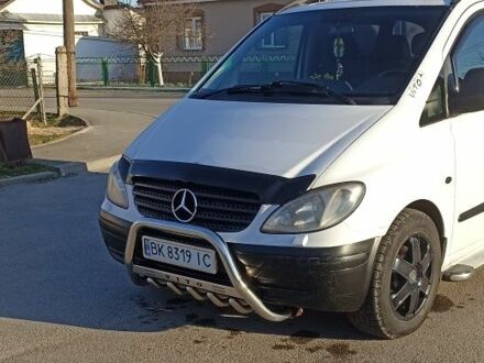 Мерседес Вито 2005 в Ровно на Automoto.ua Белый Мерседес Вито, объемом двигателя 2.1 л и пробегом 177 тыс. км за 6500 $, фото 1 на Automoto.ua