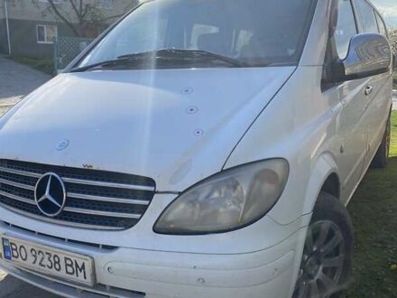 Мерседес Вито 2006 в Козовой на Automoto.ua Белый Мерседес Вито, объемом двигателя 2.15 л и пробегом 460 тыс. км за 8000 $, фото 1 на Automoto.ua