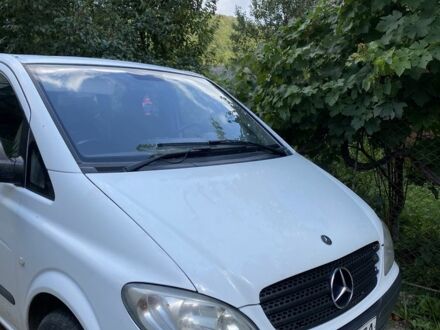 Мерседес Вито 2006 в Ужгороде на Automoto.ua Белый Мерседес Вито, объемом двигателя 2.2 л и пробегом 1 тыс. км за 6300 $, фото 1 на Automoto.ua