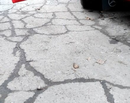 Красный Мерседес Вито, объемом двигателя 2.2 л и пробегом 267 тыс. км за 5300 $, фото 6 на Automoto.ua