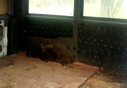 Мерседес Віто, об'ємом двигуна 2.3 л та пробігом 750 тис. км за 2300 $, фото 2 на Automoto.ua