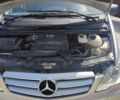 Мерседес Вито 2013 в Дрогобыче на Automoto.ua Серый Мерседес Вито, объемом двигателя 3 л и пробегом 269 тыс. км за 18500 $, фото 23 на Automoto.ua