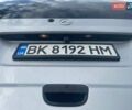 Серый Мерседес Вито, объемом двигателя 2.15 л и пробегом 460 тыс. км за 8299 $, фото 23 на Automoto.ua