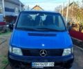 Синий Мерседес Вито, объемом двигателя 2.1 л и пробегом 450 тыс. км за 5000 $, фото 7 на Automoto.ua