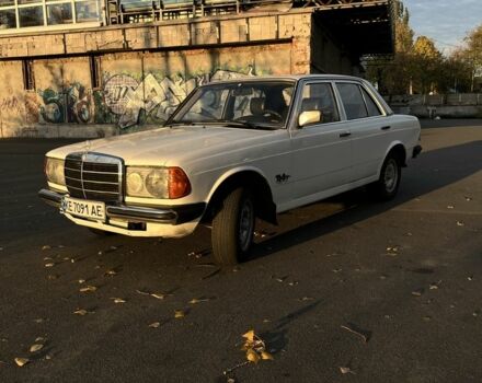 Мерседес В123 1980 в Днепре (Днепропетровске) на Automoto.ua Белый Мерседес В123, объемом двигателя 2 л и пробегом 3 тыс. км за 2900 $, фото 6 на Automoto.ua