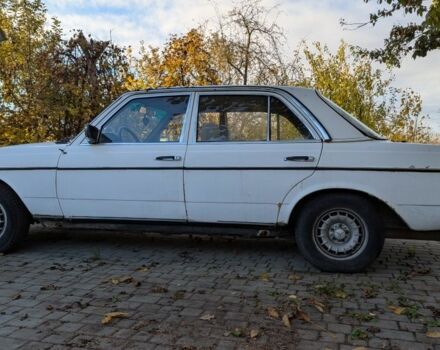 Білий Мерседес В123, об'ємом двигуна 2 л та пробігом 446 тис. км за 1999 $, фото 1 на Automoto.ua