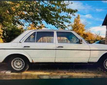 Белый Мерседес В123, объемом двигателя 2 л и пробегом 300 тыс. км за 1500 $, фото 1 на Automoto.ua