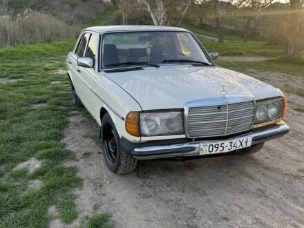 Мерседес В123 1980 в Николаеве на Automoto.ua Белый Мерседес В123, объемом двигателя 2.4 л и пробегом 85 тыс. км за 1500 $, фото 1 на Automoto.ua