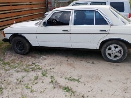 Мерседес В123 1981 у Львові на Automoto.ua Білий Мерседес В123, об'ємом двигуна 2 л та пробігом 300 тис. км за 1100 $, фото 1 на Automoto.ua