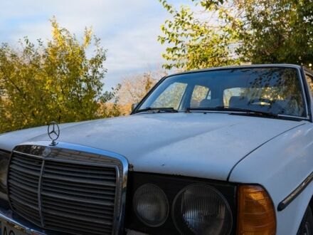 Мерседес В123 1982 в Луцке на Automoto.ua Белый Мерседес В123, объемом двигателя 2 л и пробегом 446 тыс. км за 1999 $, фото 1 на Automoto.ua