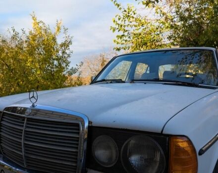 Белый Мерседес В123, объемом двигателя 2 л и пробегом 446 тыс. км за 1999 $, фото 1 на Automoto.ua